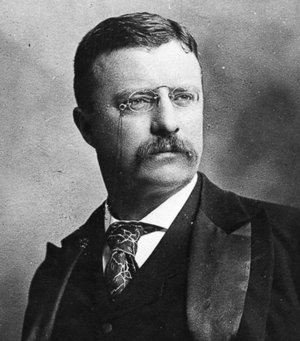 Theodore Roosevelt